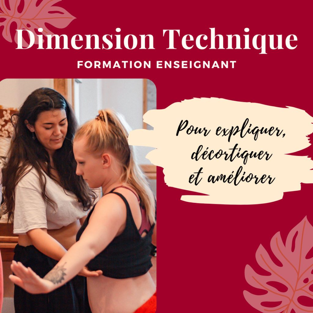 Dimension Technique – Formation Enseignant ‘Ori Tahiti