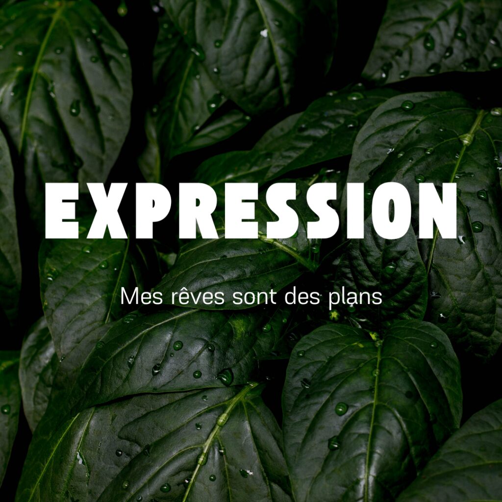 Expression – Transforme tes rêves en plans