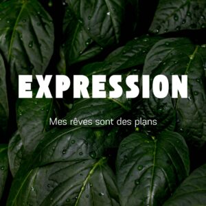 Expression - Transforme tes rêves en plans